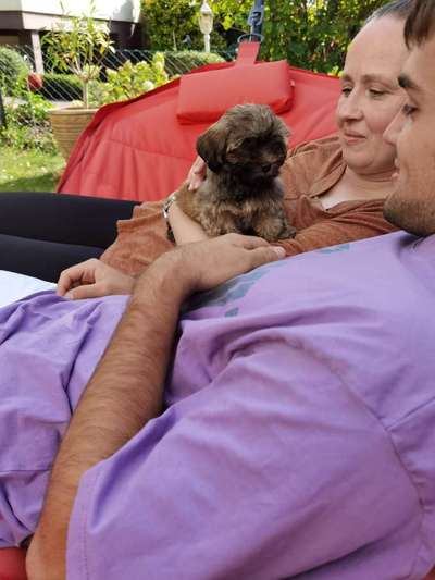 Das erste Bild eures Hundes-Beitrag-Bild