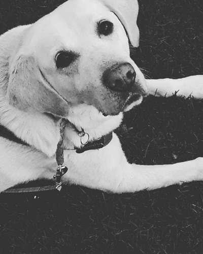 Foto-Challenge 76: Foto in Schwarz-Weiss-Beitrag-Bild