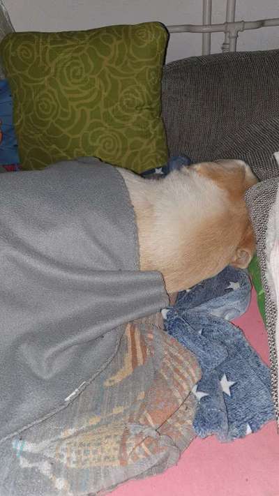 Schlafzeit!💖-Beitrag-Bild