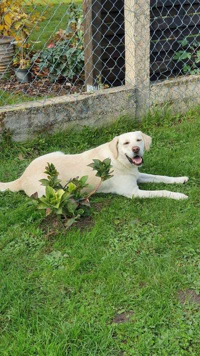 Lieblingsbild :D-Beitrag-Bild