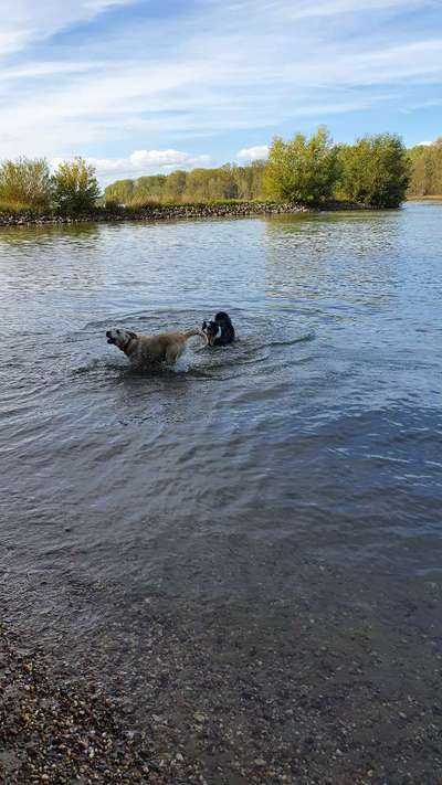 35. Handy Foto Challenge - Das nasse Element-Beitrag-Bild