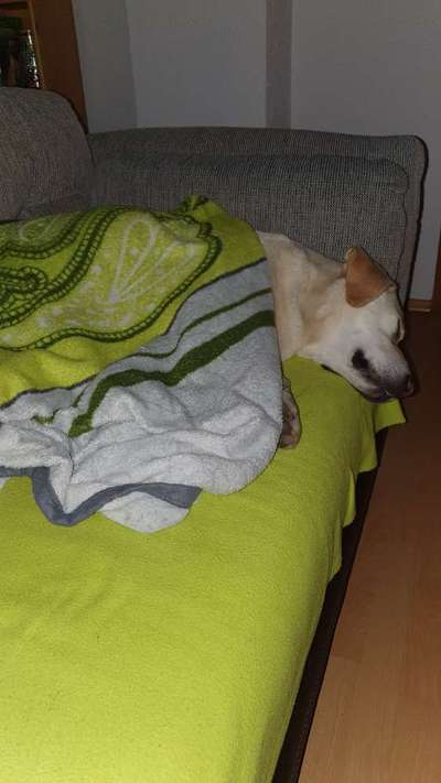 Die unbequemsten und lustigsten Schlafpositionen-Beitrag-Bild