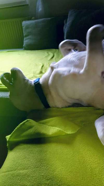 Die unbequemsten und lustigsten Schlafpositionen-Beitrag-Bild