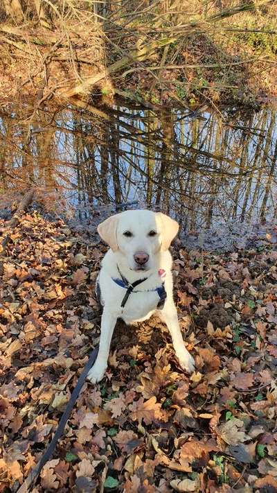 Lieblingsbild-Beitrag-Bild