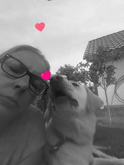 !!SELFIE MIT DEINEM LIEBLING!!-Beitrag-Bild