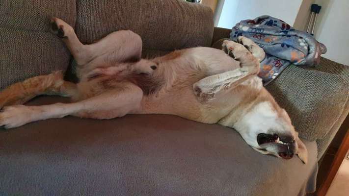 Die unbequemsten und lustigsten Schlafpositionen-Beitrag-Bild