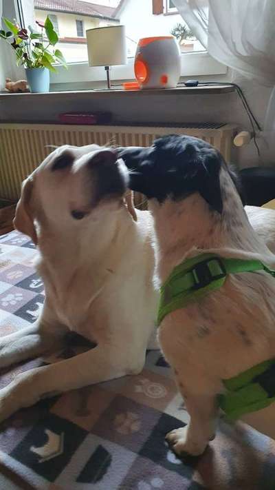 Fotochallenge liebespaare-Beitrag-Bild