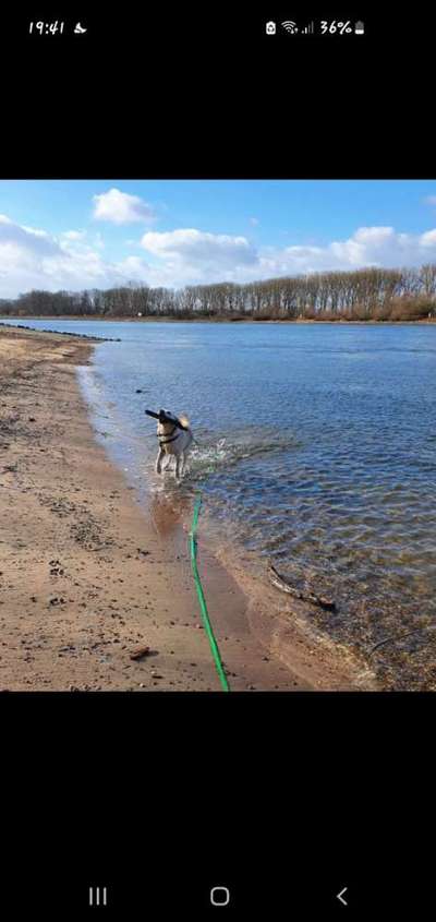 Lieblings Fotos-Beitrag-Bild