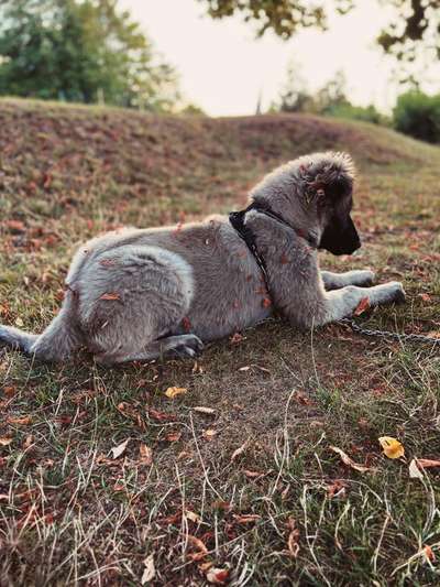 Herbst Bilder-Beitrag-Bild