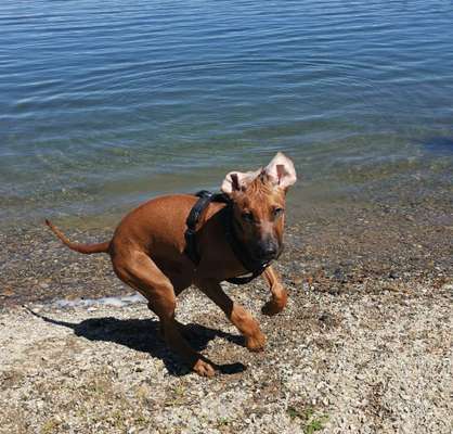 35. Handy Foto Challenge - Das nasse Element-Beitrag-Bild