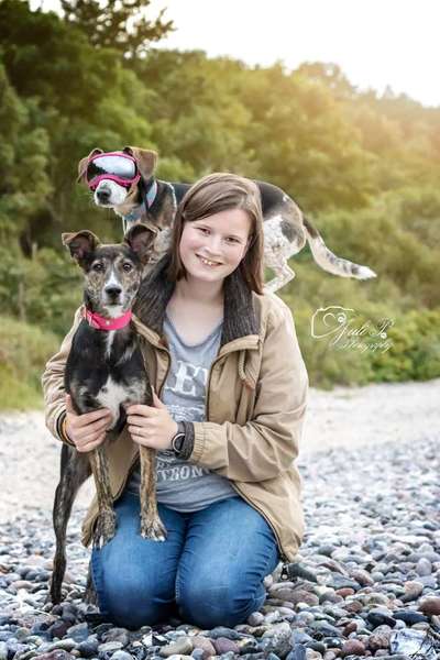 Hundetreffen-Sozial Walk-Bild