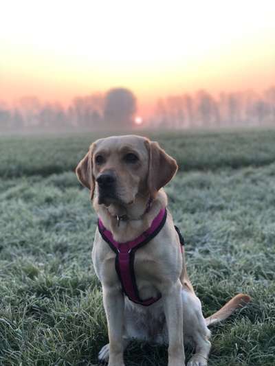 Vorher.... Nachher-Beitrag-Bild