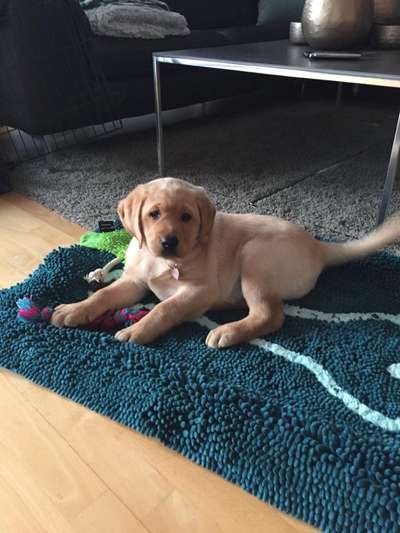 Vorher.... Nachher-Beitrag-Bild