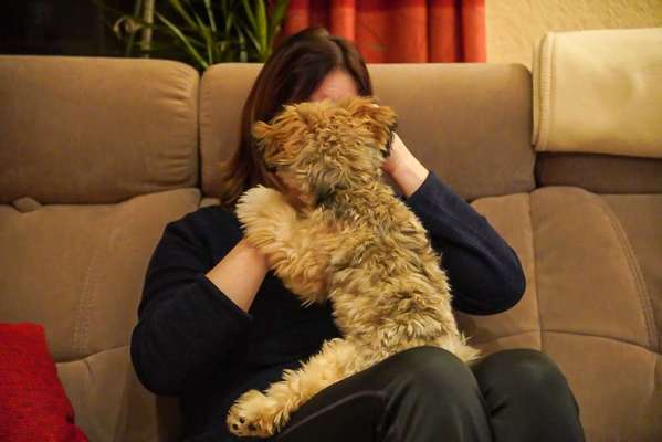 Dogorama Photo Challenge - Lieblingsspielzeug!-Beitrag-Bild