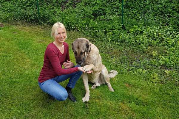 Hundeschulen-Hundetraining Blanche Wrede-Bild