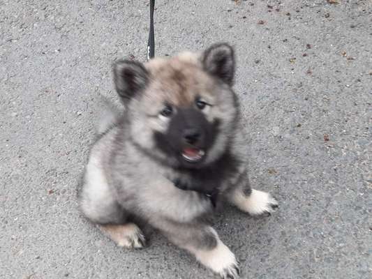 Erstes Bild-Beitrag-Bild