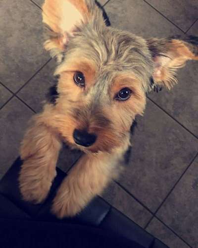 KUSCHEL PARTNER-Beitrag-Bild