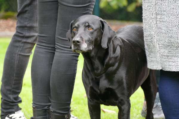 Lieblingsbild-Beitrag-Bild