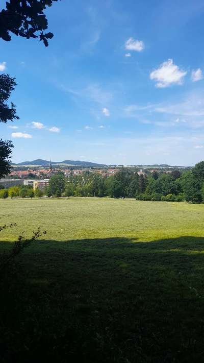 Hundeauslaufgebiet-Löbauer Berg-Bild