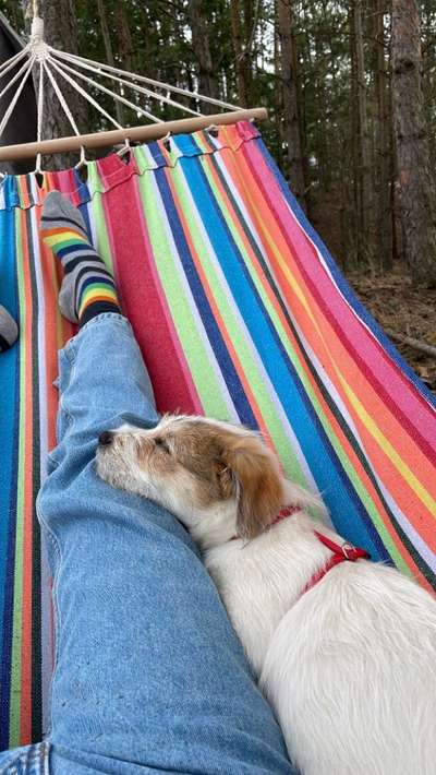 FOTO-Challenge  NR. 91: Die pure Entspannung-Beitrag-Bild