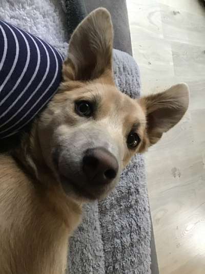 Lieblingsbild-Beitrag-Bild