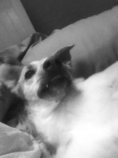 Lieblingsbild-Beitrag-Bild