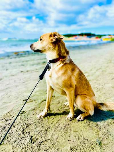 Lieblingsbild-Beitrag-Bild