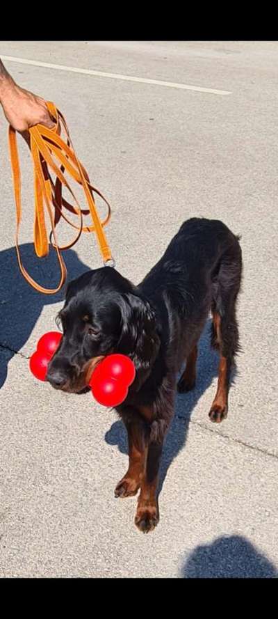 19. Handy - Foto - Challenge-Beitrag-Bild