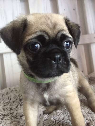 Erstes Bild-Beitrag-Bild