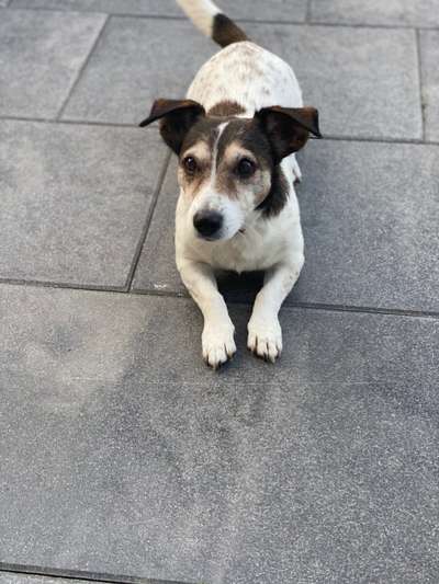 Lieblingsbild :D-Beitrag-Bild