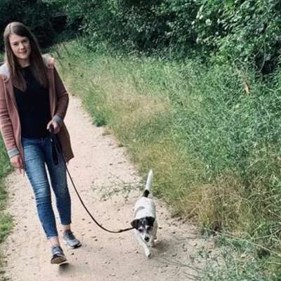 Hundetreffen-Spaziergang