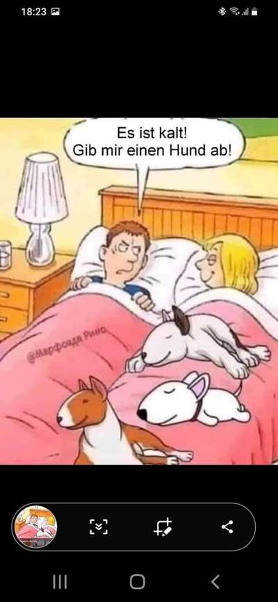 Gemeinsames Kuscheln im Bett!-Beitrag-Bild