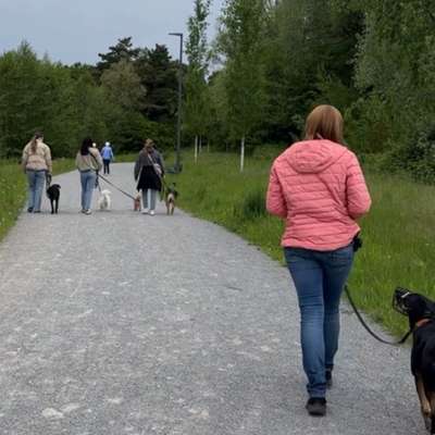 %{de_profession_title}-Social Walk-Bild