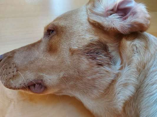 Hot Spot-Beitrag-Bild