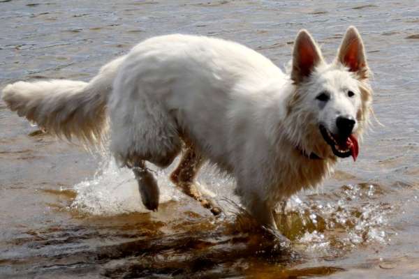 38. Collagen Challenge - "Waschlappen"-Beitrag-Bild