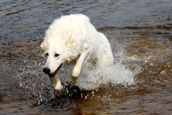 Foto Challenge Nr.133-Beitrag-Bild