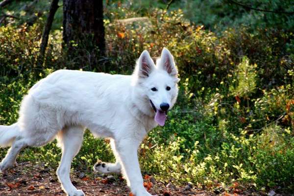 38. Collagen Challenge - "Waschlappen"-Beitrag-Bild