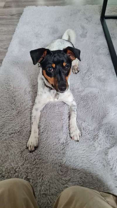 Fotochallange Nr. 57     PORTRÄT.   Beendet!!!!!!!!-Beitrag-Bild