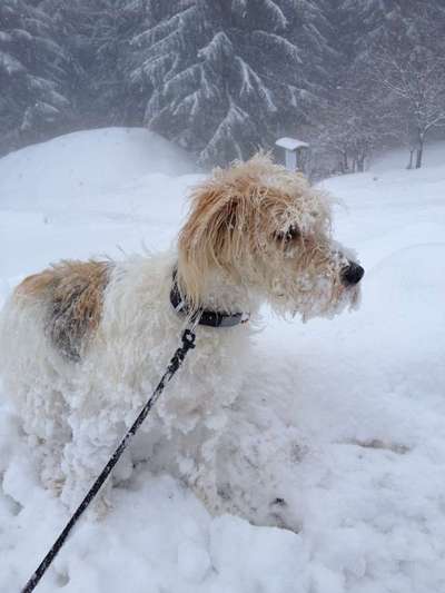 Handyfoto Challange  - Winter,Schnee-Beitrag-Bild