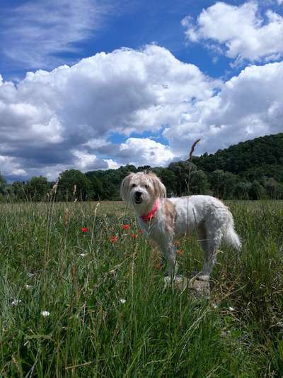 Handy-Foto-Challange Nr.9-Beitrag-Bild