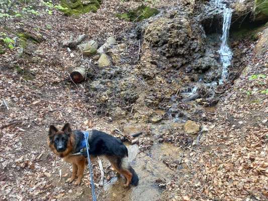 Foto Challenge Nr. 79-Beitrag-Bild