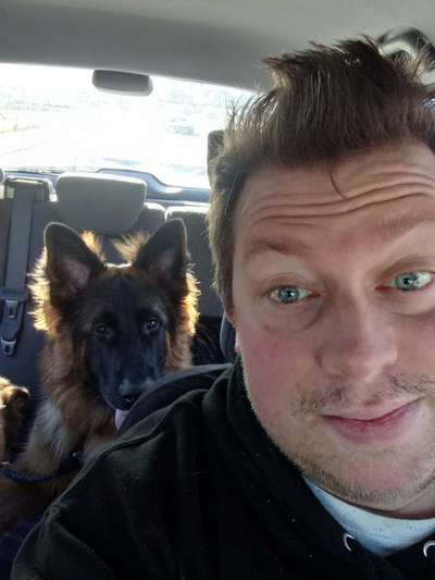 FOTOCHALLENGE 70 - Dein Hund im Auto-Beitrag-Bild