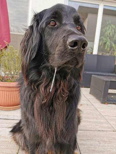 20. Handy -Foto-Callenge-Beitrag-Bild