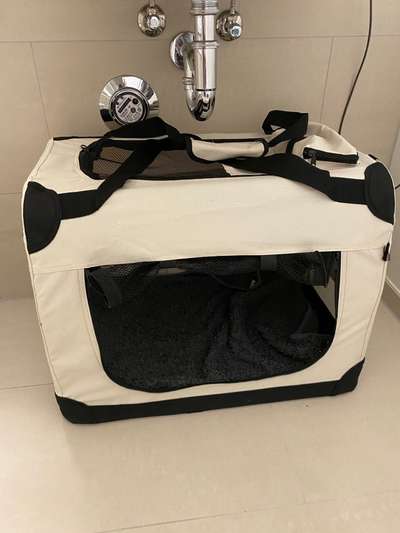 Pubertät-Beitrag-Bild