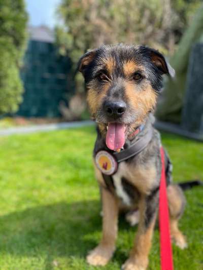 Lieblingsbild :D-Beitrag-Bild