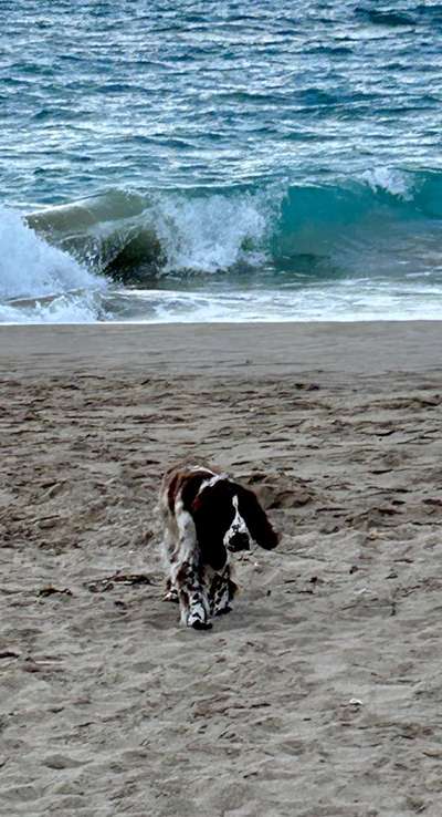 37. Collagen Challenge- Am Strand-Beitrag-Bild