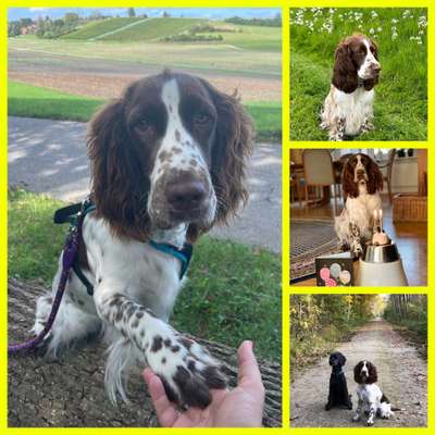 32. Collagen Challenge - eure liebsten gestellten Fotos-Beitrag-Bild