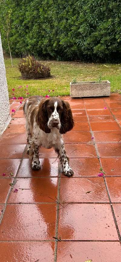 12. Farben Foto Challenge --- Braun-Beitrag-Bild