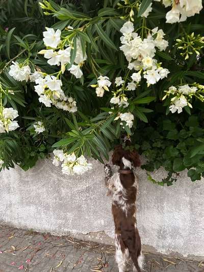 14. Farbenfoto-Challenge "Weiss"-Beitrag-Bild