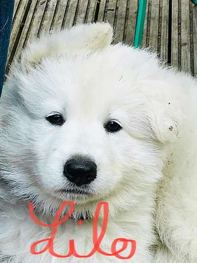 Erstes Bild-Beitrag-Bild